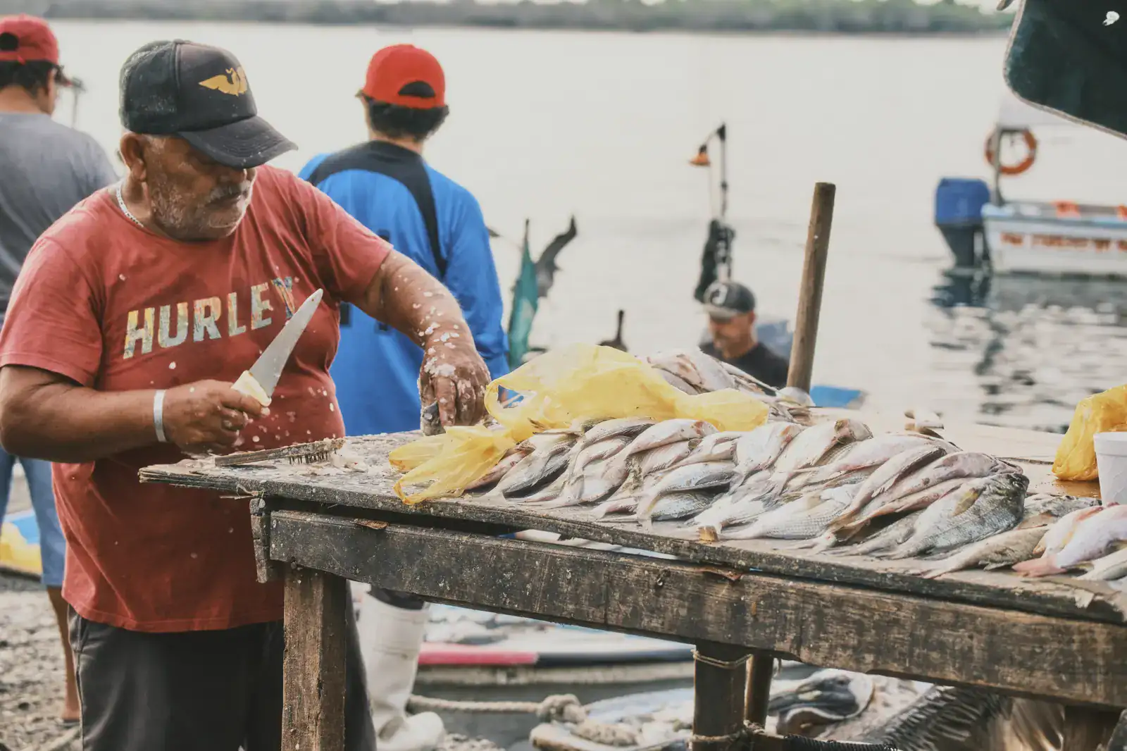 Pescador de Sinaloa aprovechando responsablemente la captura del día en el muelle